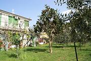 Villa Edi Marina di Bibbona
